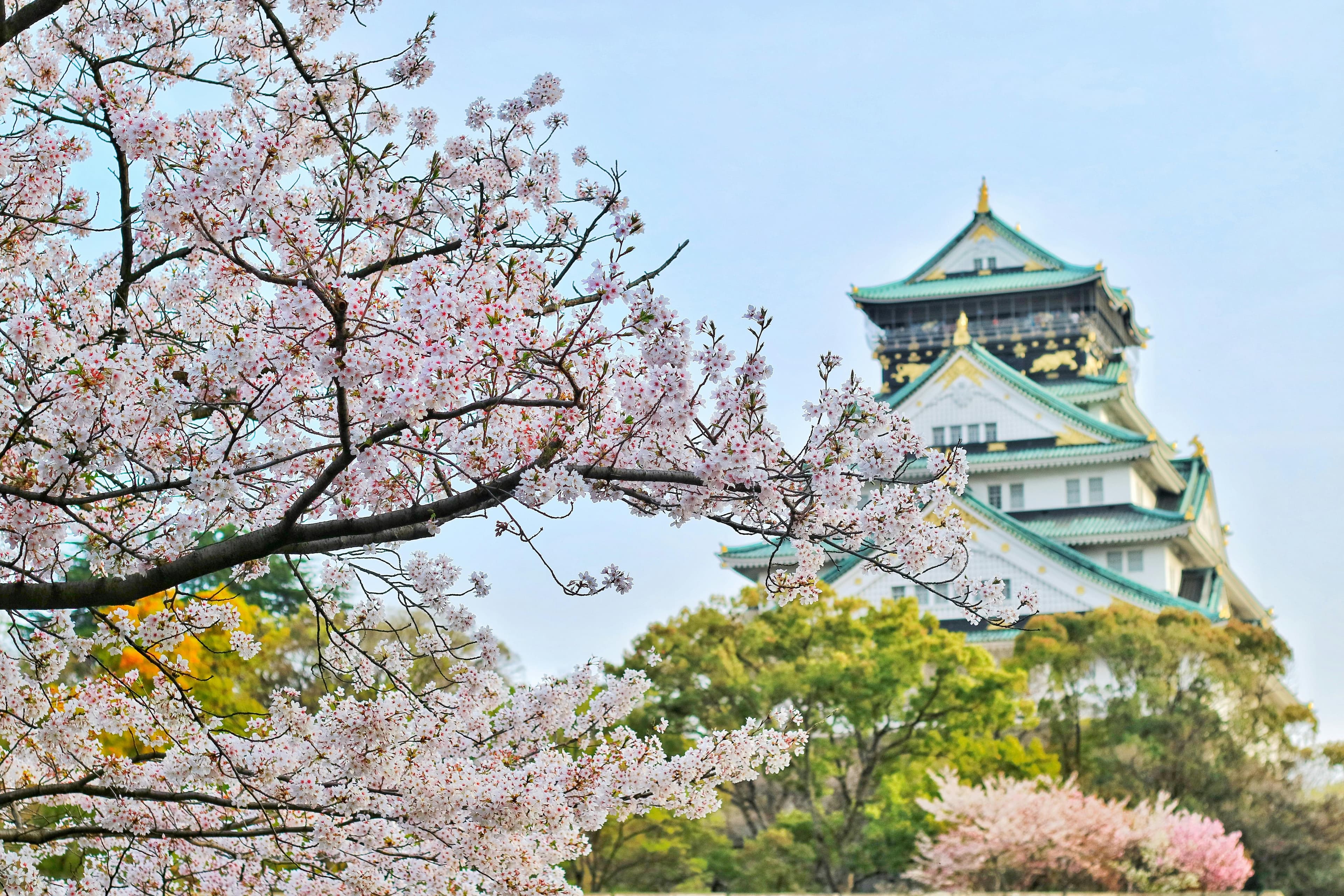 Convenient Osaka Location